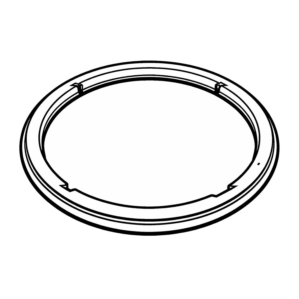 Fuel Cap Seal